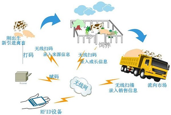 RFID設備以及技術(shù)在畜牧業(yè)的應用場景